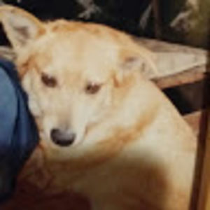 Meet your Posher, Lindy-ann